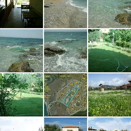 Canan's فيلة